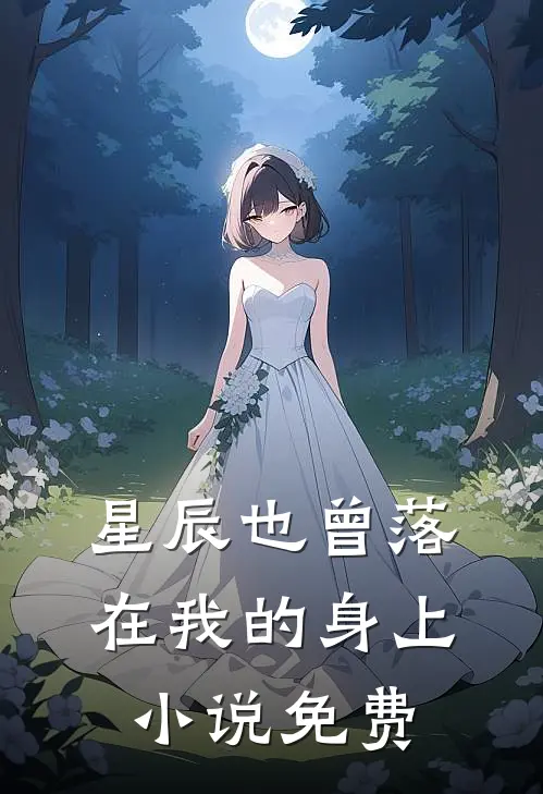 星辰也曾落在我的身上小说免费