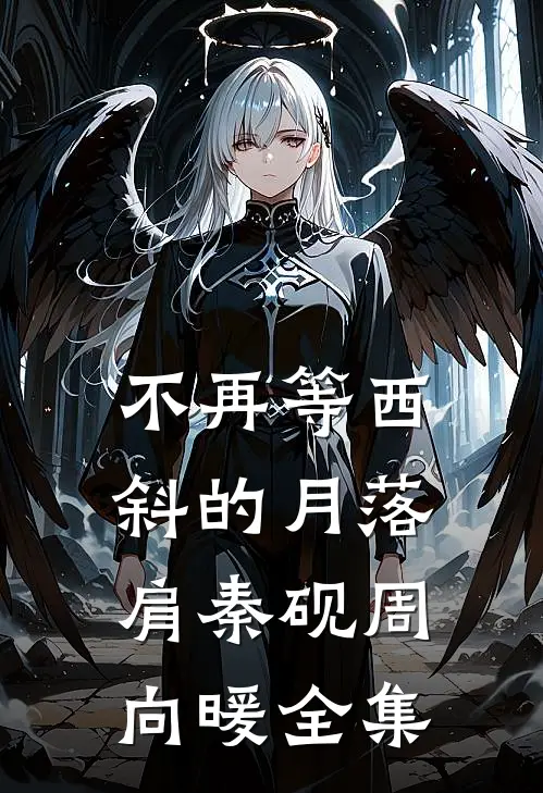 不再等西斜的月落肩秦砚周向暖全集