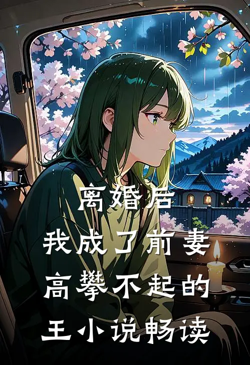 离婚后，我成了前妻高攀不起的王小说畅读