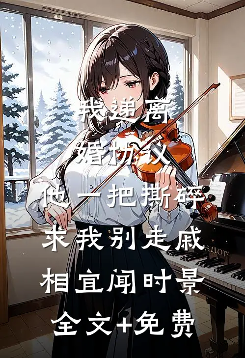 我递离婚协议，他一把撕碎求我别走戚相宜闻时景全文+免费
