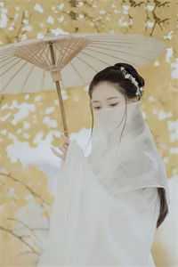 妻子的复仇白芷顾泽星无删减全文