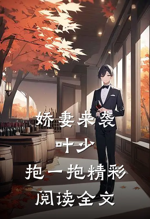 娇妻来袭叶少,抱一抱精彩阅读全文