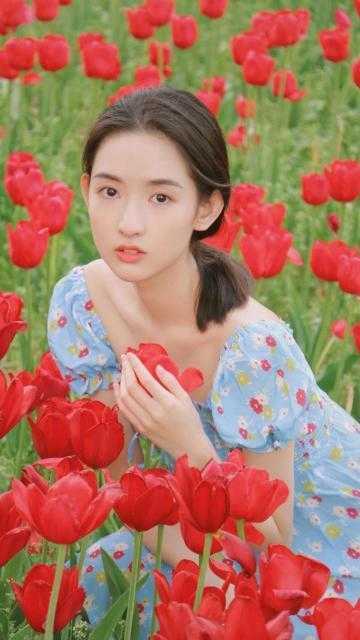 爱如尘埃落，你我相逢是陌路无错版