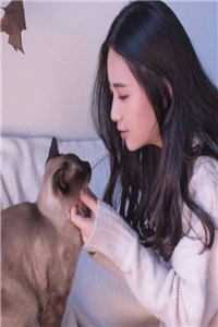 云青瑶陆仁小说精品全集