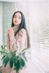 倾盖不如故裴故晓晓无删减+无广告