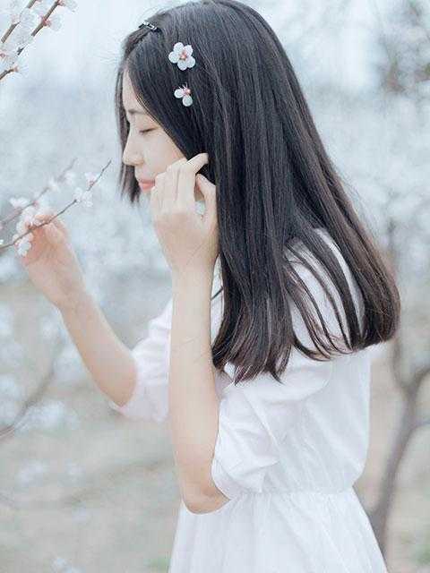 被恶狗咬死后，我重生了赵浩李念无删减+无广告