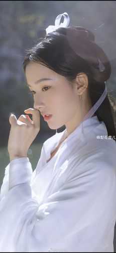 唯恨海棠不知春小说