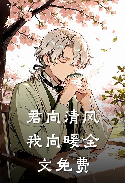 君向清风我向暖全文免费