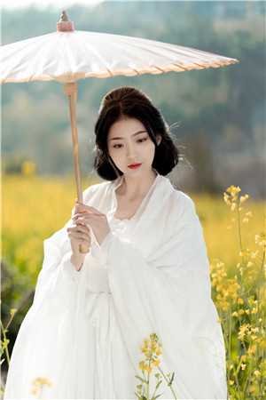 我放手后，有白月光的女友后悔了长篇小说阅读