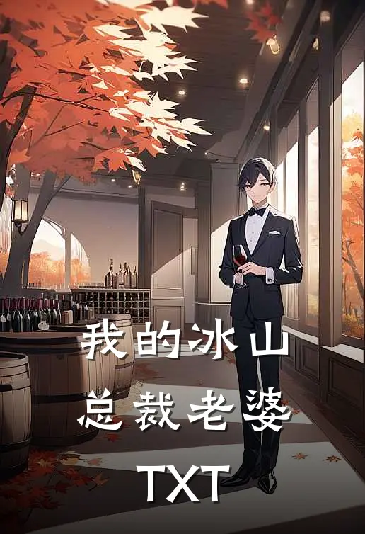 我的冰山总裁老婆TXT