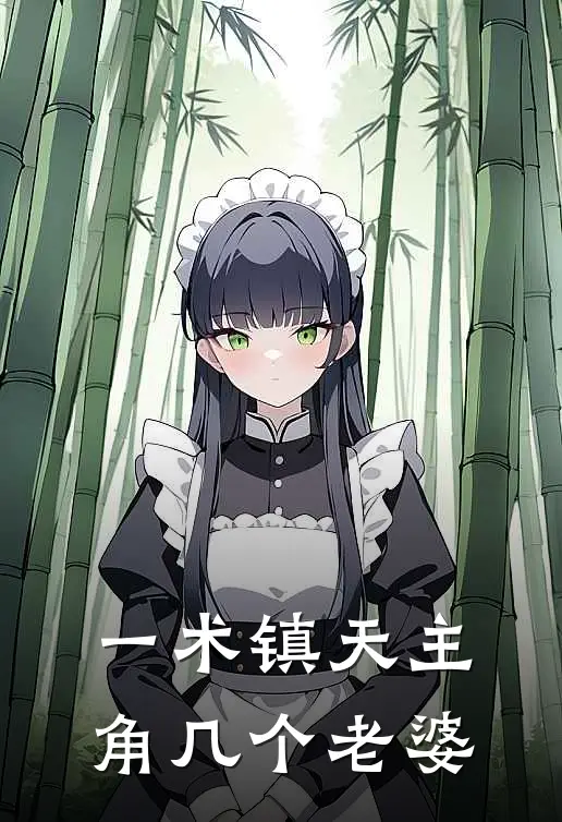 一术镇天主角几个老婆