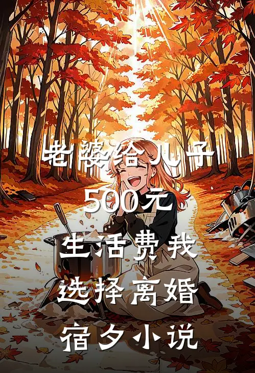 老婆给儿子500元生活费我选择离婚宿夕小说