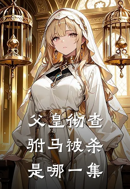 父皇彻查驸马被杀是哪一集