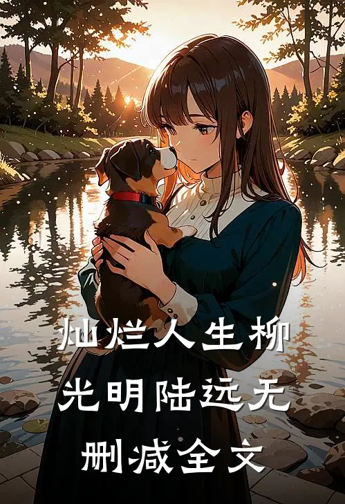 灿烂人生柳光明陆远无删减全文