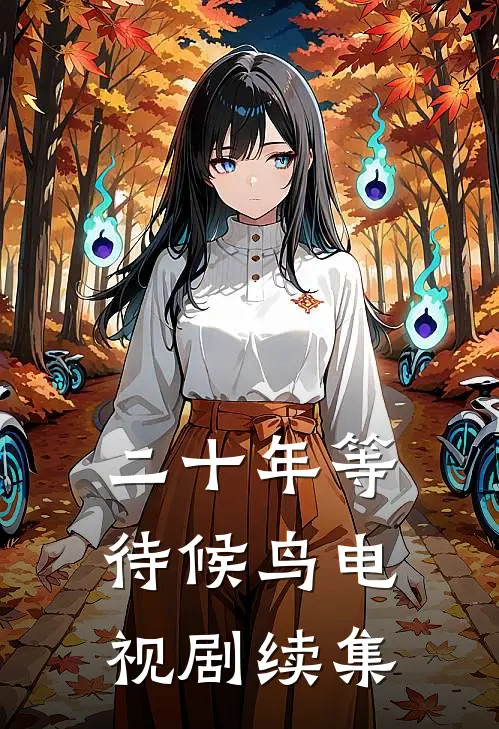 二十年等待候鸟电视剧续集