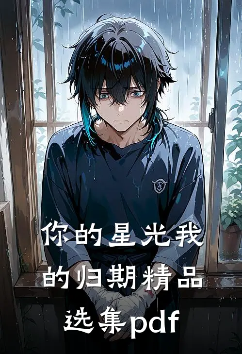 你的星光我的归期精品选集pdf