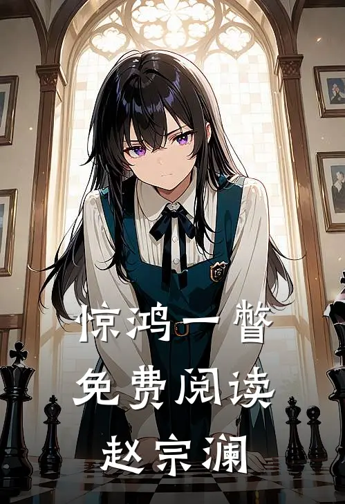 惊鸿一瞥免费阅读赵宗澜