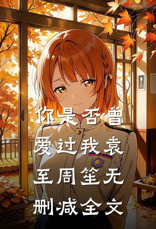 你是否曾爱过我袁至周笙无删减全文