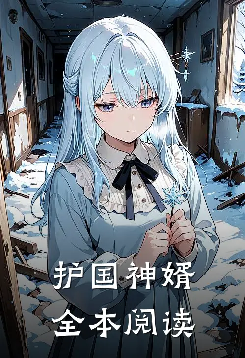 护国神婿全本阅读
