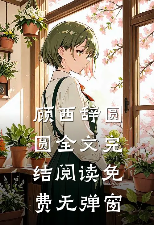 顾西辞圆圆全文完结阅读免费无弹窗