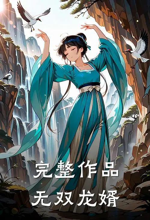 完整作品无双龙婿