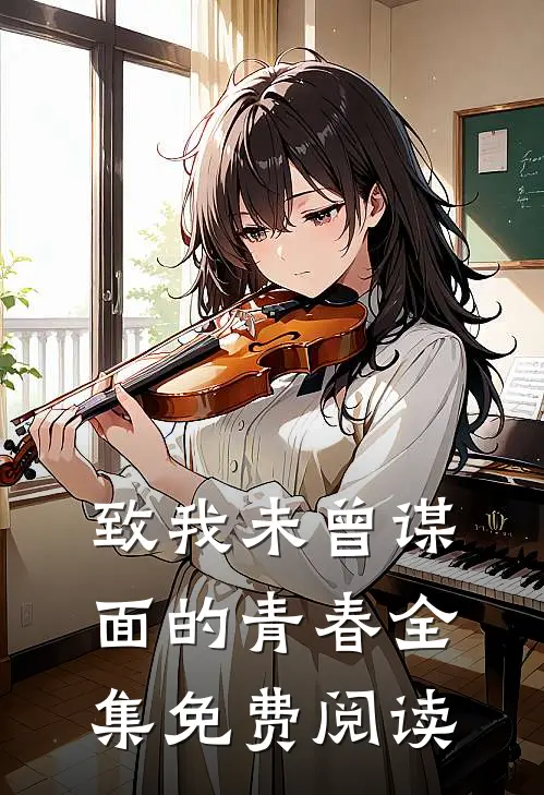 致我未曾谋面的青春全集免费阅读