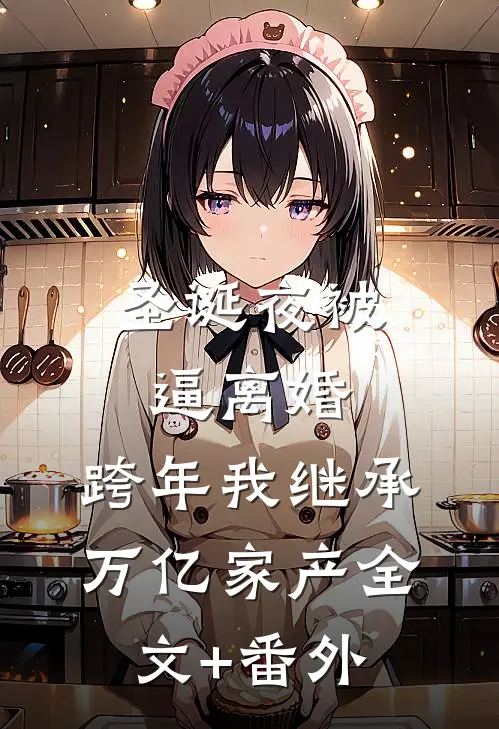 圣诞夜被逼离婚，跨年我继承万亿家产全文+番外