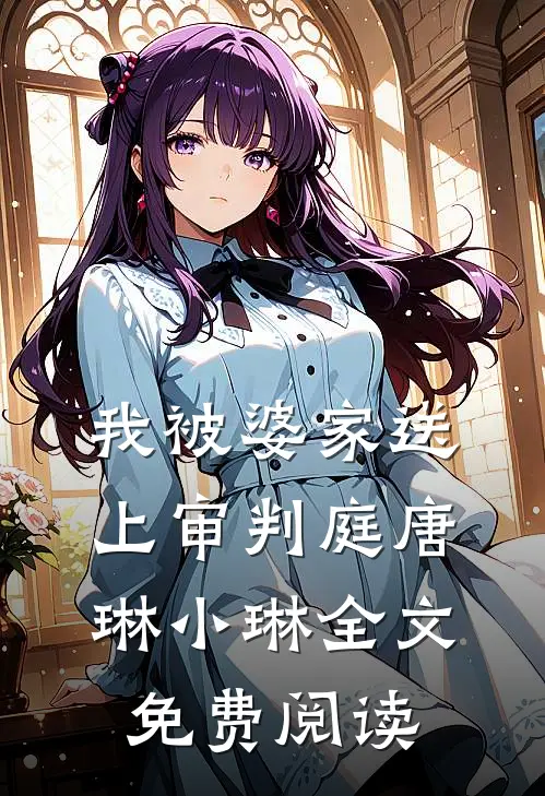 我被婆家送上审判庭唐琳小琳全文免费阅读