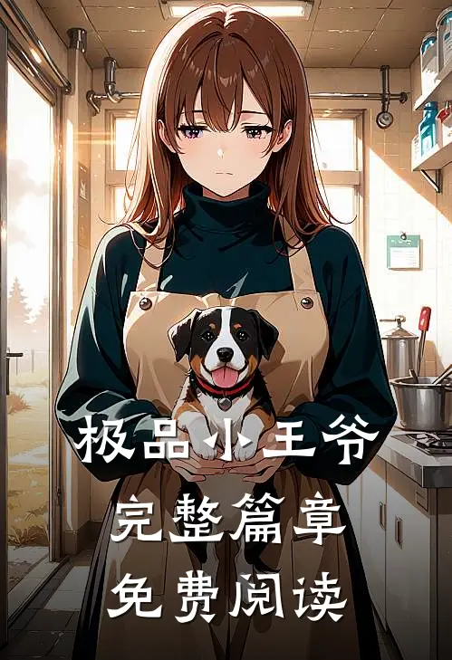 极品小王爷完整篇章免费阅读