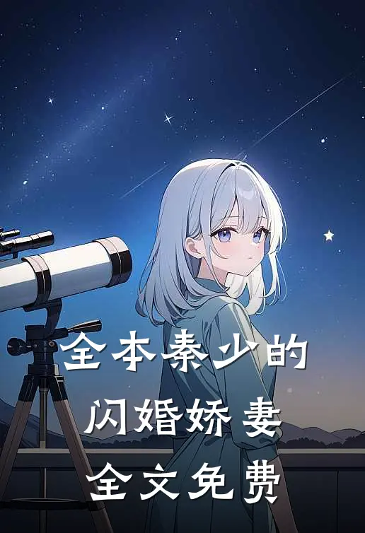 全本秦少的闪婚娇妻全文免费