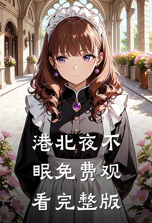 港北夜不眠免费观看完整版