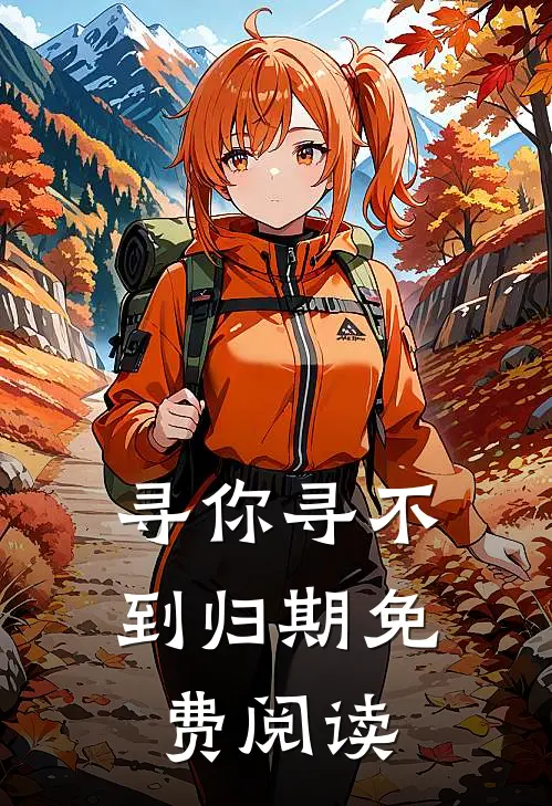 寻你寻不到归期免费阅读