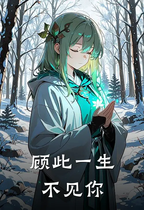 顾此一生不见你
