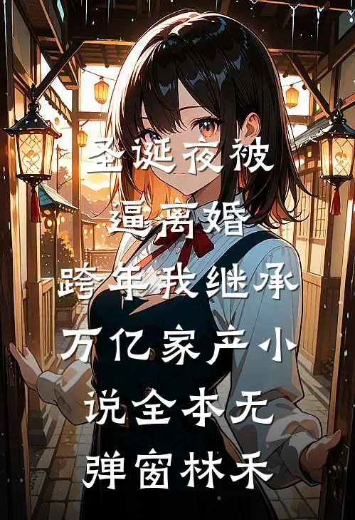 圣诞夜被逼离婚，跨年我继承万亿家产小说全本无弹窗林禾