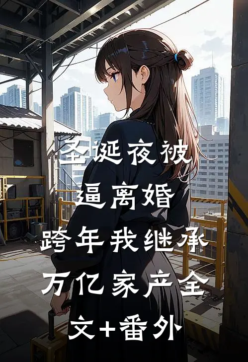 圣诞夜被逼离婚，跨年我继承万亿家产全文+番外