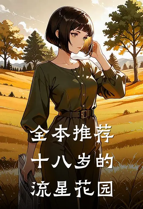 全本推荐十八岁的流星花园