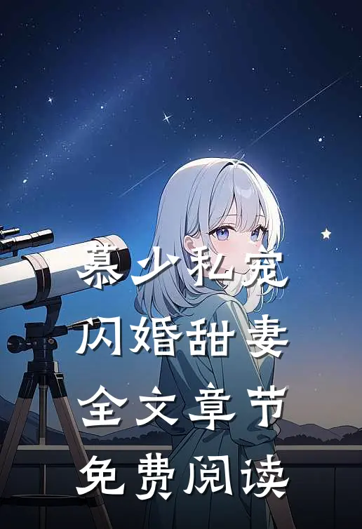 慕少私宠闪婚甜妻全文章节免费阅读