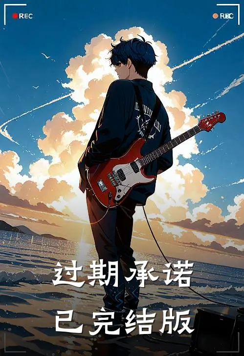 过期承诺已完结版