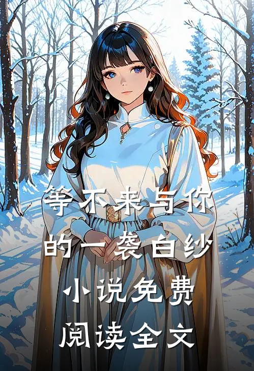 等不来与你的一袭白纱小说免费阅读全文
