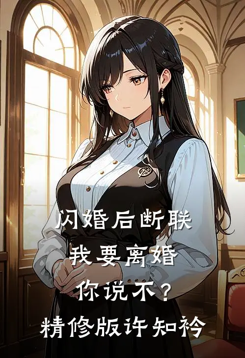 闪婚后断联，我要离婚你说不？精修版许知衿