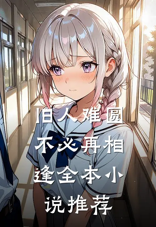 旧人难圆，不必再相逢全本小说推荐