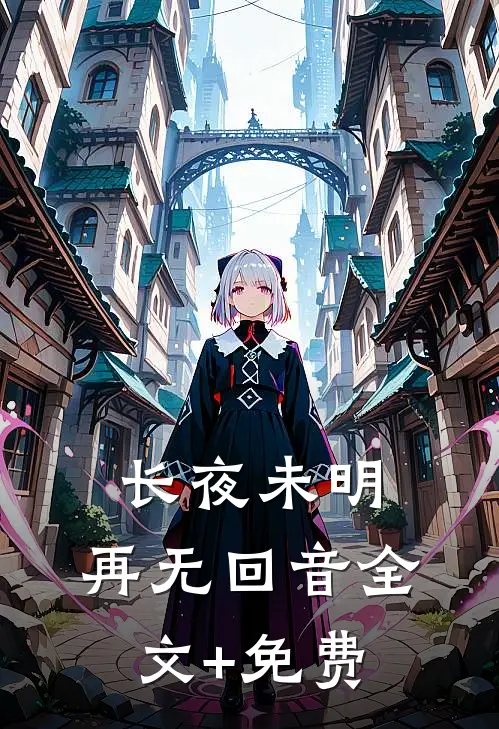 长夜未明，再无回音全文+免费