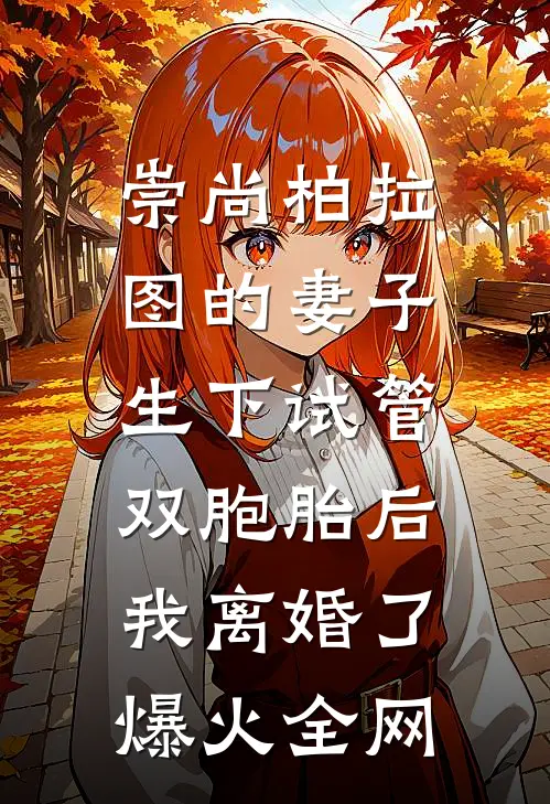 崇尚柏拉图的妻子生下试管双胞胎后，我离婚了爆火全网
