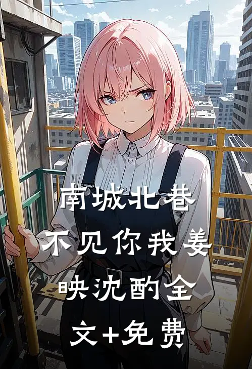 南城北巷，不见你我姜映沈酌全文+免费