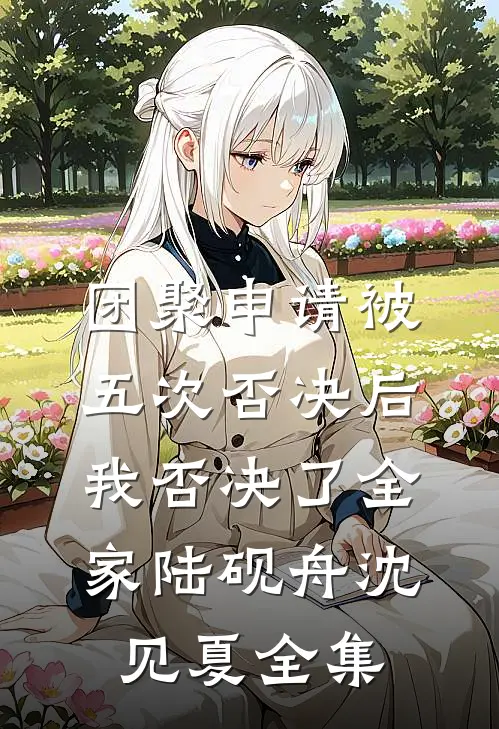 团聚申请被五次否决后，我否决了全家陆砚舟沈见夏全集