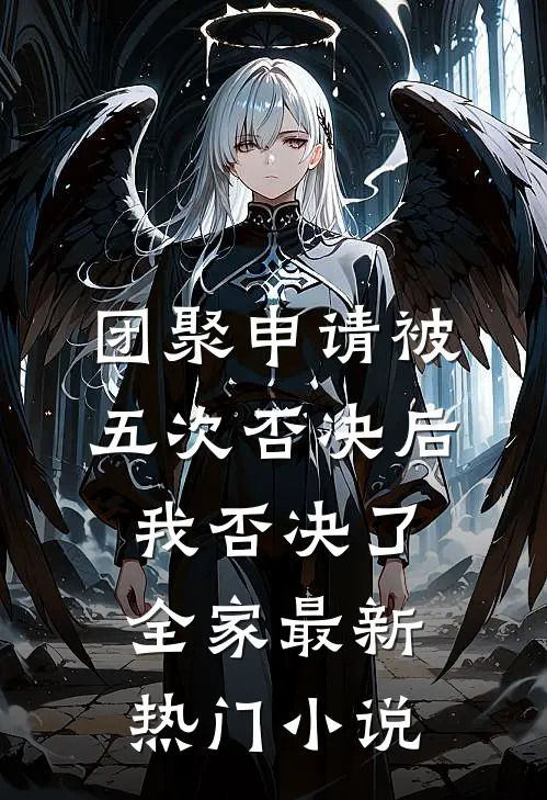 团聚申请被五次否决后，我否决了全家最新热门小说