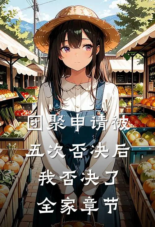 团聚申请被五次否决后，我否决了全家章节