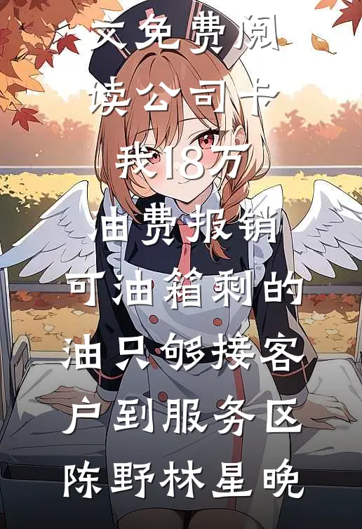 公司卡我18万油费报销，可油箱剩的油只够接客户到服务区(陈野林星晚)全本完结小说_无弹窗全文免费阅读公司卡我18万油费报销，可油箱剩的油只够接客户到服务区陈野林星晚