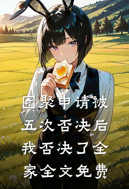 团聚申请被五次否决后，我否决了全家全文免费