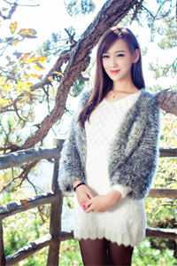 雨雪霏霏冬已迟完本